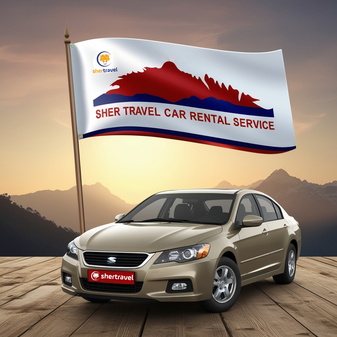 Car Rental