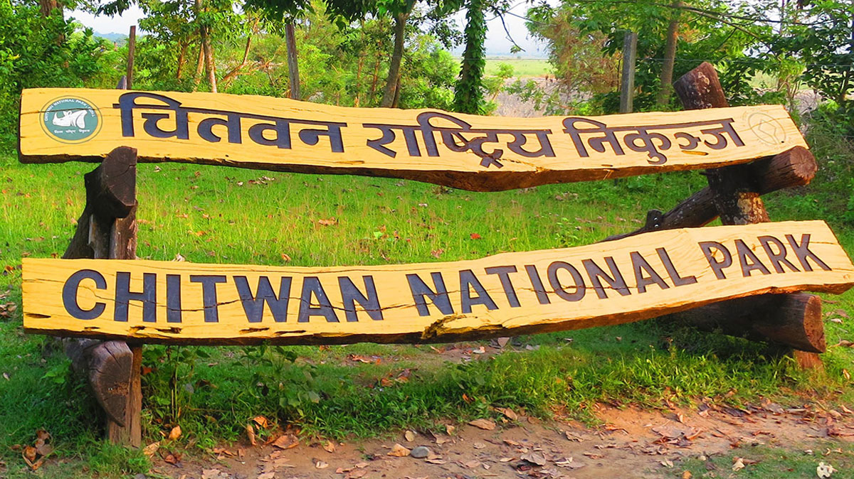 Chitwan Tour