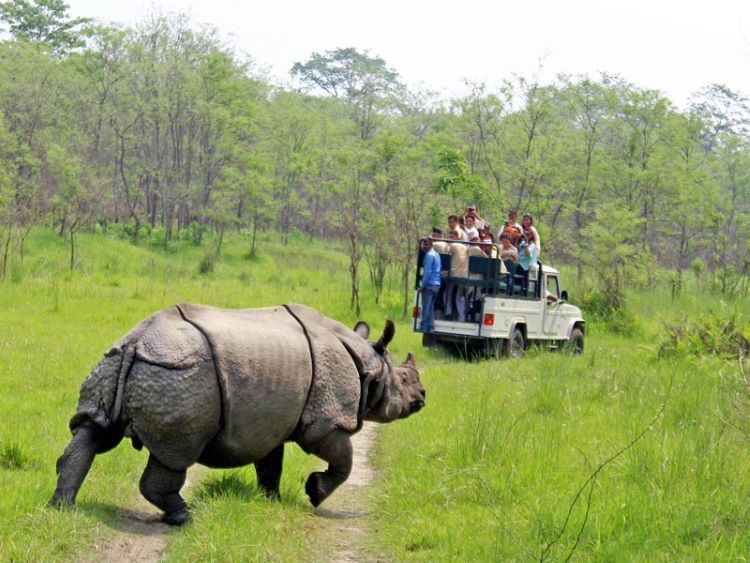 Chitwan Tour