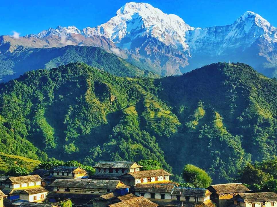 Dhampus and Ghandruk Package