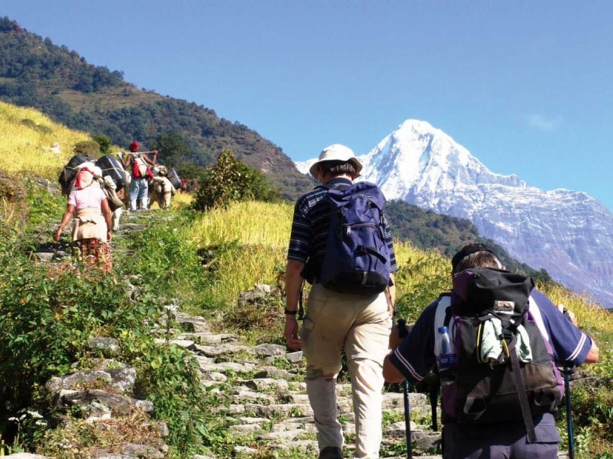 Dhampus and Ghandruk Package