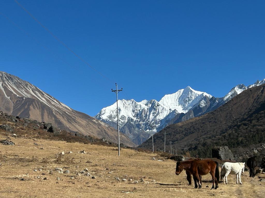 Langtang Valley Trek