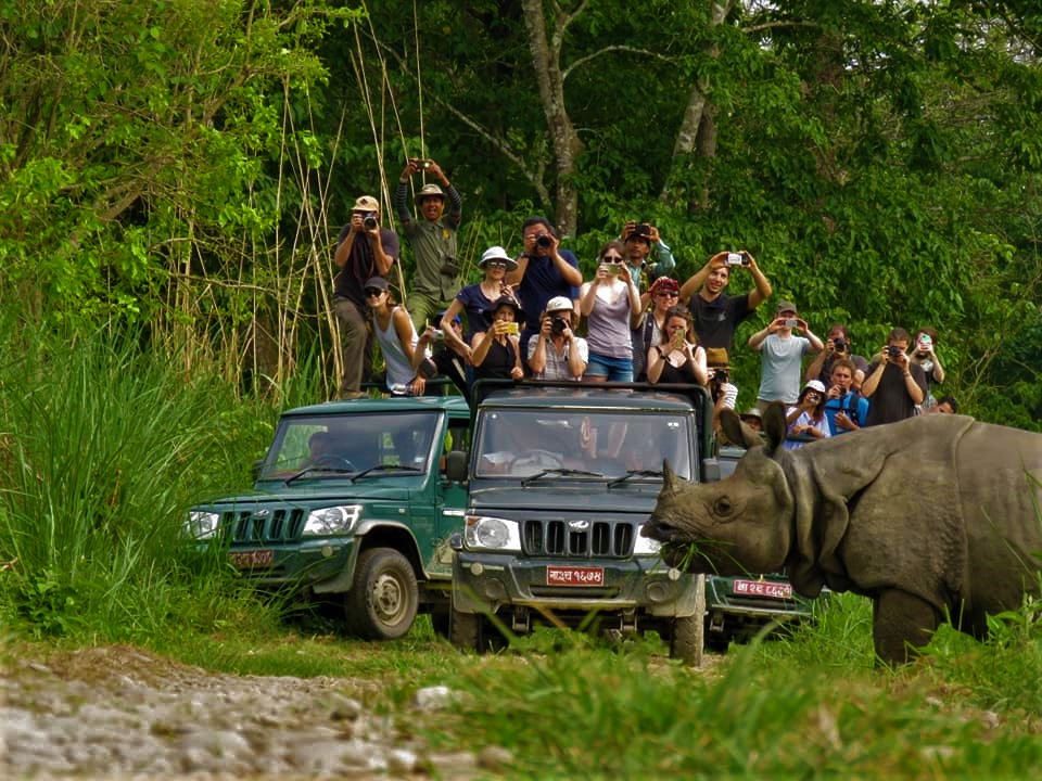 Chitwan Tour