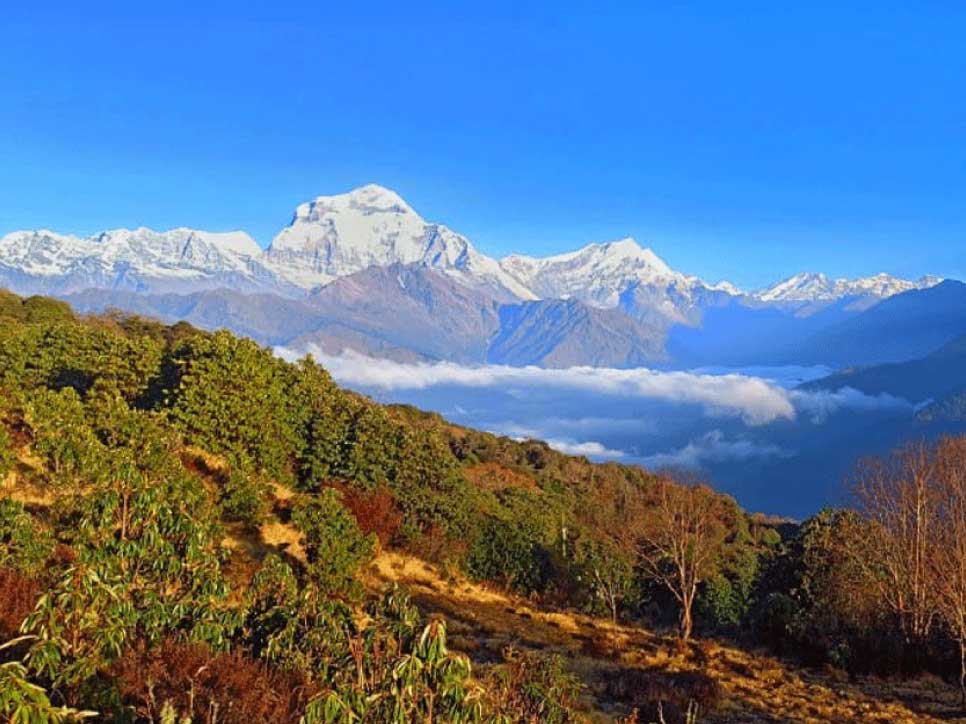 Poonhill Ghorepani Trek Package